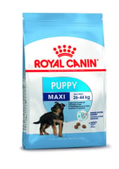 Royal Canin Maxi Puppy Dog Food (1 KG)