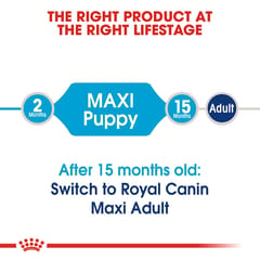 Royal Canin Maxi Puppy Dog Food (1 KG)