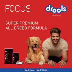 Drools Focus Starter Super Premium Dog Food, 4kg