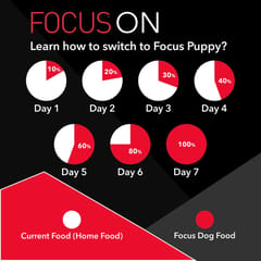 Drools Focus Puppy Super Premium Dog Food, 4kg