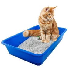 URBAN PET Odour Control Exclusive Scoopable Cat Litter, 8 Kg (UP-OCL-X8)