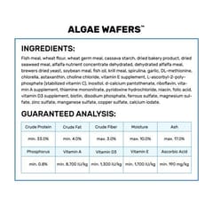 HIKARI ALGAE WAFERS, 20 g (HKR-AW-20)