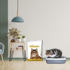 INTERSAND CAT EXCLUSIVE UNCENTED Scoopable Cat Litter, 10 Kg (017075)