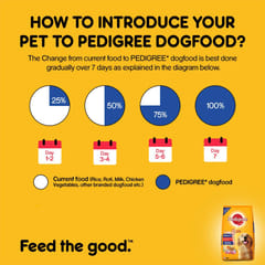 PEDIGREE ADULT DRY DOG FOOD, CHICKEN & VEG - 15 KG (21-PDG-ACV-15K)