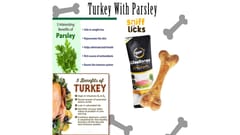 GNAWLERS WISEBONE MEDIUM 5 PCS, 200 gms - TURKEY with PARSLEY (21-GNW-MTP-X2K)