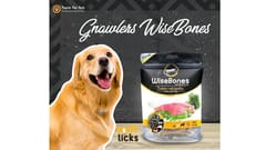 GNAWLERS WISEBONE MEDIUM 5 PCS, 200 gms - TURKEY with PARSLEY (21-GNW-MTP-X2K)