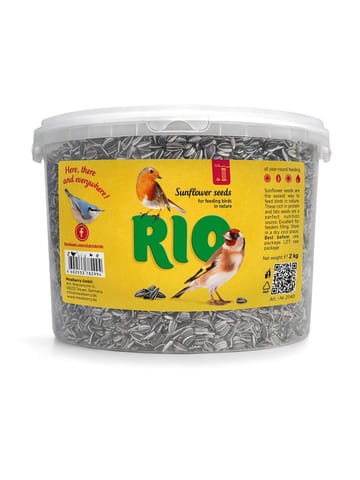 RIO SUNFLOWER SEED 2KG