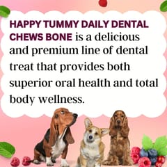 GNAWLERS HAPPY TUMMY DAILY DENTAL CHEWS SMALL, 150g X 21 PCs - BERRIES (21-GNW-HTB-N21)