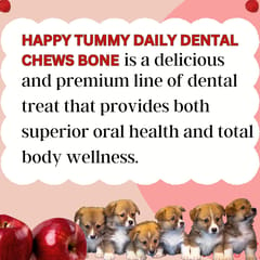 GNAWLERS HAPPY TUMMY DAILY DENTAL CHEWS SMALL, 150g X 21 PCs - APPLE (21-GNW-HTA-N21)