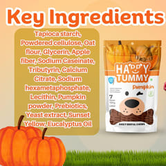 GNAWLERS HAPPY TUMMY DAILY DENTAL CHEWS LARGE, 150g X 7 PCs - PUMPKIN (21-GNW-HTP-N07)