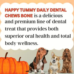 GNAWLERS HAPPY TUMMY DAILY DENTAL CHEWS LARGE, 150g X 7 PCs - PUMPKIN (21-GNW-HTP-N07)