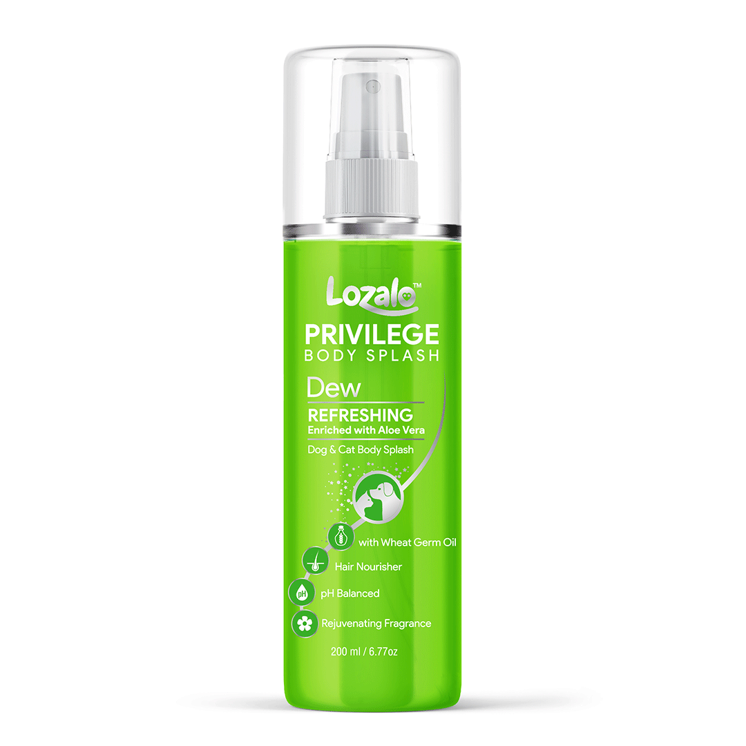 LOZALO PRIVILEGE BODY SPLASH 200 ml, SPRING (PBS20SP)